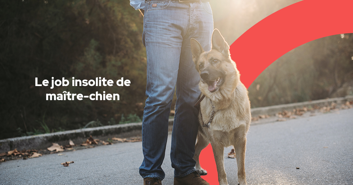 job-insolite-maître-chien-police