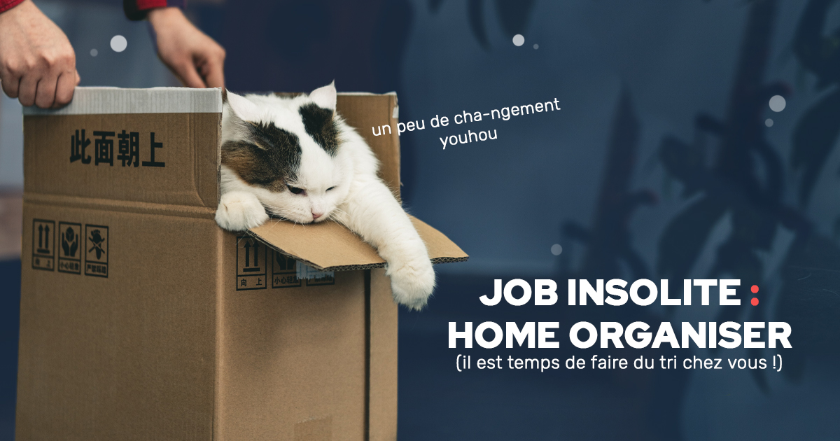 job-insolite-home-organiser-emploi