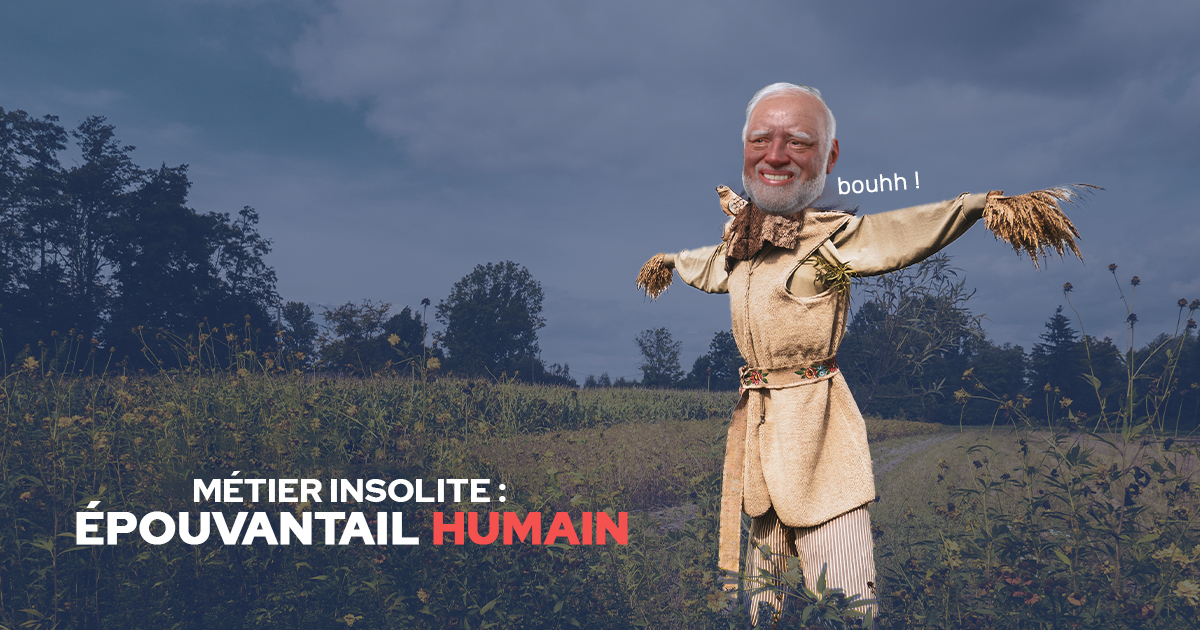 job-insolite-épouvantail-humain-emploi-insolite