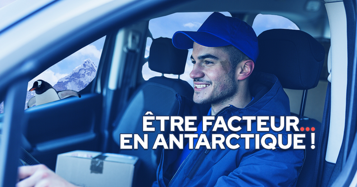 facteur-en-antarctique-insolite