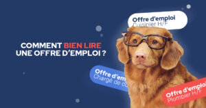 lire-une-offre-d'emploi-job