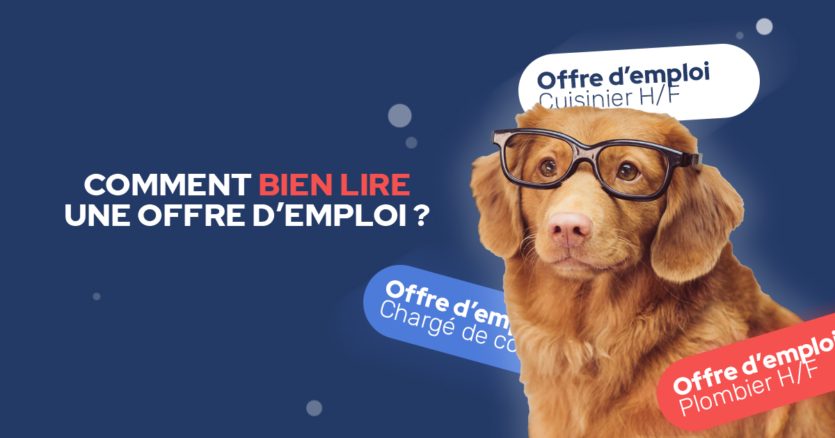 lire-une-offre-d'emploi-job