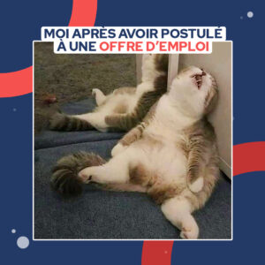 garder-la-motivation-pendant-la-recherche-demploi-meme-chat-qui-dort