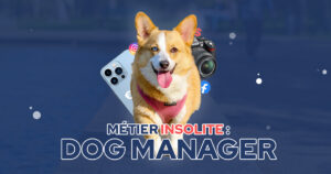 métier-insolite-dog-manager-petfluenceur
