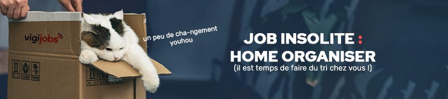 job-insolite-home-organiser