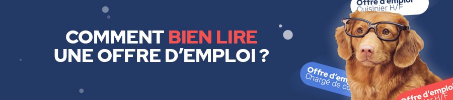 lire-une-offre-d'emploi-chien